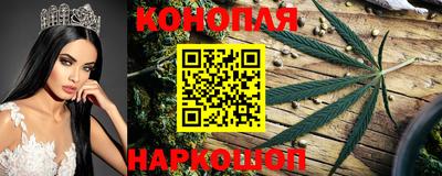 крисы Заводоуковск