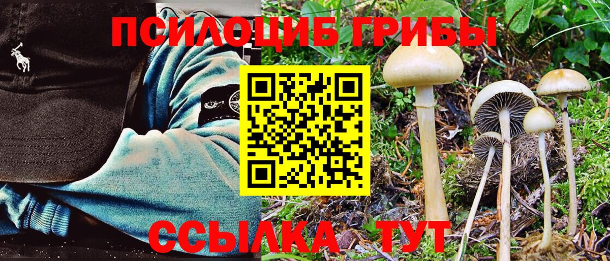 Галлюциногенные грибы Cubensis Кропоткин