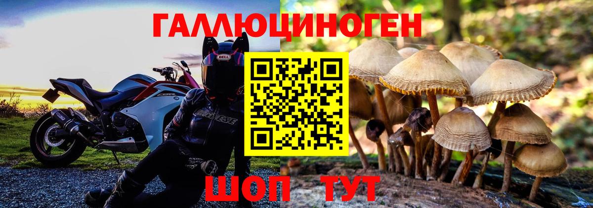 Галлюциногенные грибы Psilocybine cubensis  Псилоцибиновые грибы MAGIC MUSHROOMS  Вход с VPN  Кропоткин 